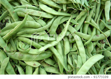 Green peas in the pod Green peas in the pod 91773109