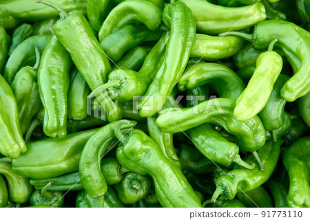 fresh pepper at vegetable market fresh pepper at vegetable market 91773110