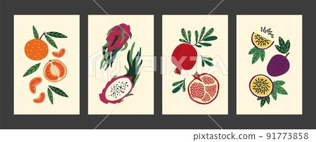 Abstract fruit poster. Modern food art, vintage hand drawn print of summer or autumn harvest with minimalist tropical plant. Mandarin exotic dragonfruit and pomegranate vector cartoon background 91773858