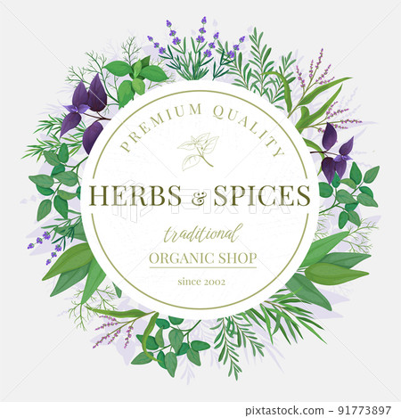 Herbal emblem. Fresh seasoning green spice mint, peppermint and basil. Circle cooking label with sage leaf, organic farm food ingredients. Organic culinary round frame isolated vector set 91773897