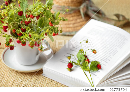 Open book laying near summer bunch of wild strawberry twigs with hanging red berries placed in white tea mug Open book laying near summer bunch of wild strawberry twigs with hanging red berries placed in white tea mug 91775704