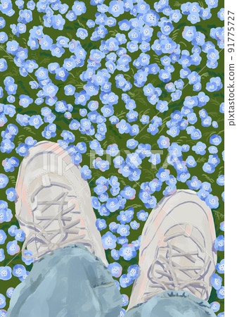 Nemophila and my sneakers Nemophila and my sneakers 91775727