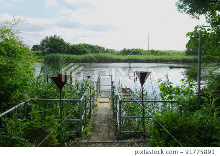 Pier of Tokugawa Ieyasu's "Daytime Nowatashiba" [Binnuma River] Saitama City, Saitama Prefecture 91775891