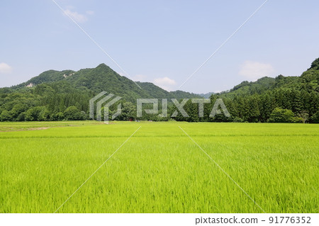 Navel of Akita, rural scenery of pesticide-free farmer of Uyashinai 91776352