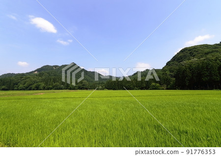 Navel of Akita, rural scenery of pesticide-free farmer of Uyashinai 91776353