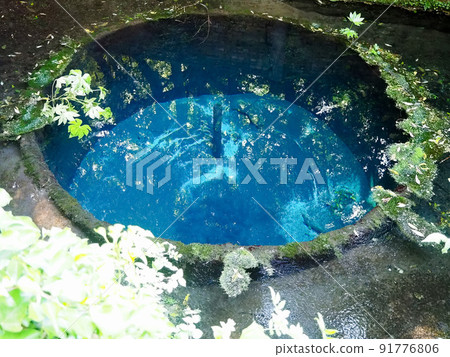 Spring Drive-柿田川泉 91776806