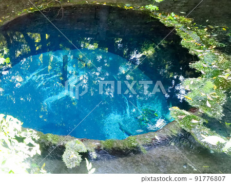 Spring Drive-Kakita River Springs 91776807