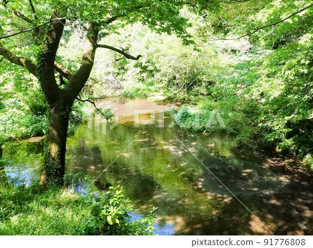 Spring Drive-Kakita River Springs 91776808