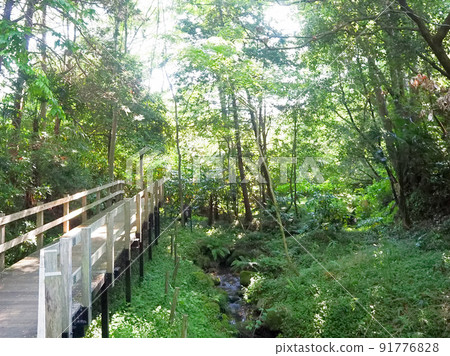 Spring Drive-Kakita River Springs Spring Drive-Kakita River Springs 91776828