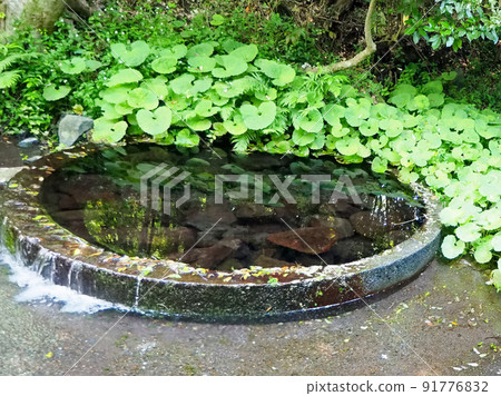 Spring Drive-Kakita River Springs Spring Drive-Kakita River Springs 91776832