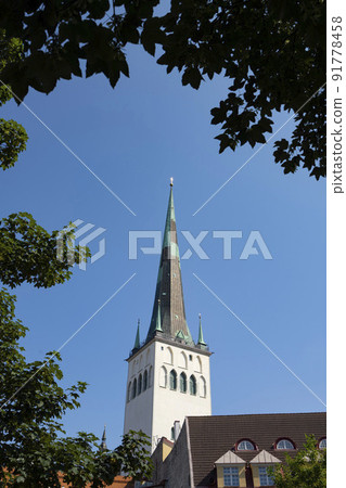 St. Olav church bell tower in Tallinn, Estonia 91778458