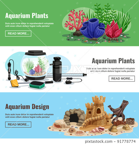 Aquarium Horizontal Banners Aquarium Horizontal Banners 91778774