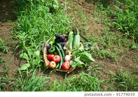 用漏勺盛蔬菜 91779039