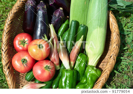 Vegetables served in a colander 91779054