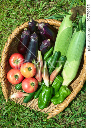 Vegetables served in a colander 91779055