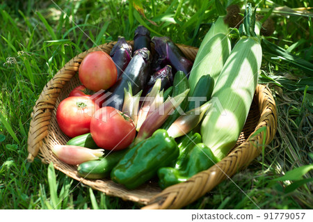 Vegetables served in a colander 91779057