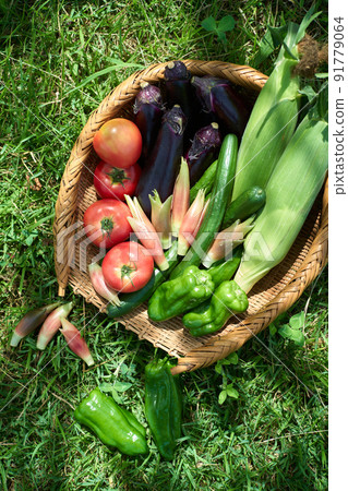 Vegetables served in a colander Vegetables served in a colander 91779064