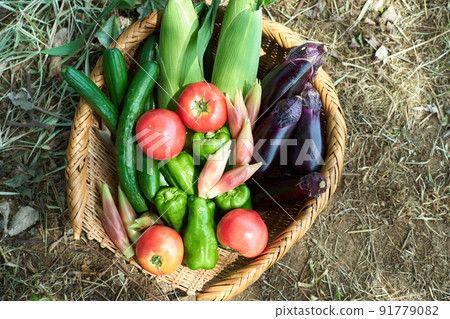Vegetables served in a colander Vegetables served in a colander 91779082