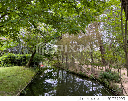 Ritsurin Garden in the hot summer (late May, bamboo flowers) 91779995