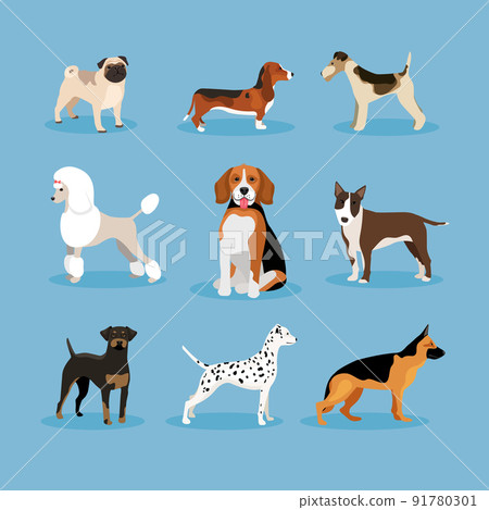 Dogs set 91780301