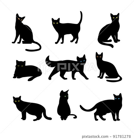 Vector cats Vector cats 91781278