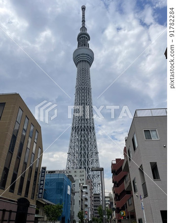 高聳在多雲的天空中的天空樹 高聳在多雲的天空中的天空樹 91782284