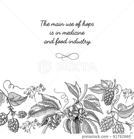 Typography Design Decorative Card Sketch Typography Design Decorative Card Sketch 91782660