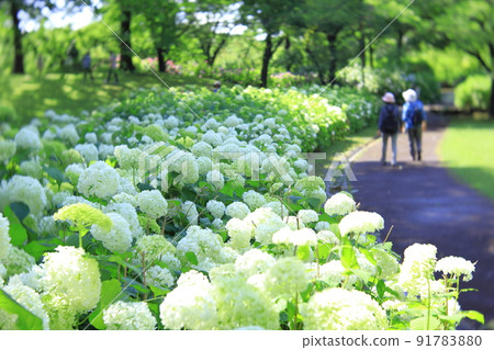 府中市地方森林博物館安娜貝爾山 91783880