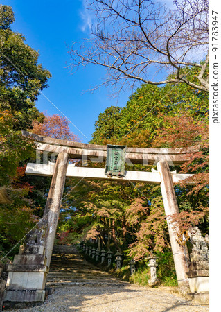 Torii of Konomiya Shrine in autumn, Taga Town, Shiga Prefecture Torii of Konomiya Shrine in autumn, Taga Town, Shiga Prefecture 91783947