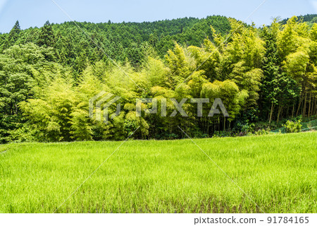 《Gifu Prefecture》 Nakasendo 《Gifu Prefecture》 Nakasendo 91784165