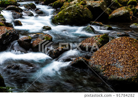 Kikuchi Gorge and autumn leaves Kikuchi Gorge and autumn leaves 91784282