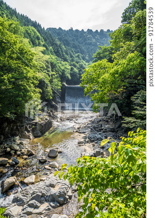 《Gifu Prefecture》 Nakayama Road Ochiai Camp Takiba 《Gifu Prefecture》 Nakayama Road Ochiai Camp Takiba 91784539