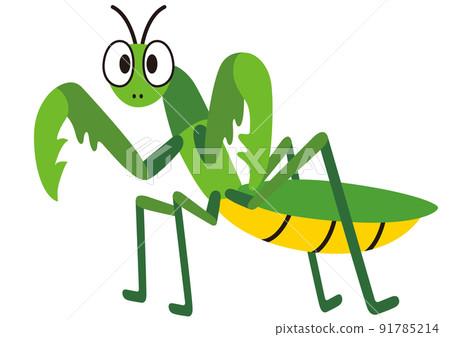綠色, 春天, 夏天, 育種, 生物, 性質, 動物, 昆蟲, 暑假, 鐮刀, 螳螂, 昆蟲, 生物 綠色, 春天, 夏天, 育種, 生物, 性質, 動物, 昆蟲, 暑假, 鐮刀, 螳螂, 昆蟲, 生物 91785214