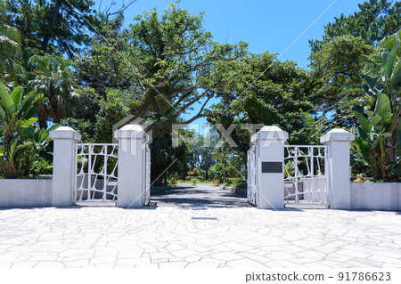 充滿熱帶風情的宮古植物園 宮崎縣青島亞熱帶植物園 91786623