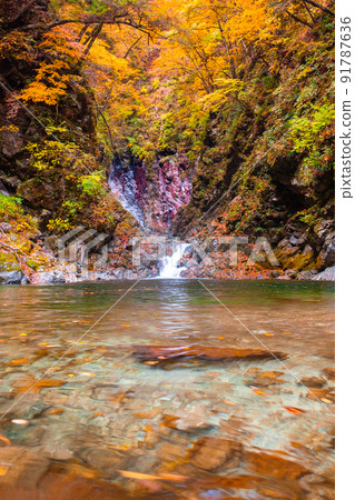Ojiragawa Canyon (Autumn): Sengabuchi Ojiragawa Canyon (Autumn): Sengabuchi 91787636