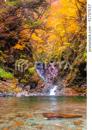 Ojiragawa Canyon（秋季）：Sengabuchi 91787637