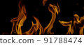 Fire Flames Igniting And Burning, Fiery orange glowing. Abstract background on the theme of fire. Real flames ignite. Royalty high-quality free stock image of overlay flames isolated on black backgrou 91788474