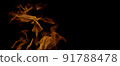 Fire Flames Igniting And Burning, Fiery orange glowing. Abstract background on the theme of fire. Real flames ignite. Royalty high-quality free stock image of overlay flames isolated on black backgrou 91788478