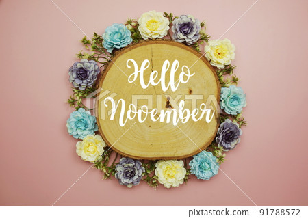 Hello November typography text decorate with flower on pink background 91788572
