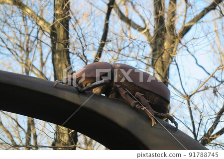 武藏野2路蘿蔔入口 武藏野2路蘿蔔入口 91788745