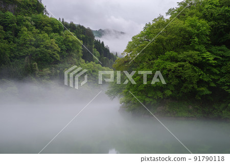 Fogy landscape 91790118