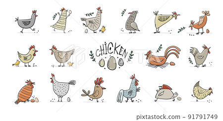 Funny Chicken and Rooster characters. Icons collection isolated on white for your design 91791749