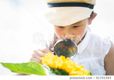 A girl looking at sunflowers with a magnifying glass 91791993