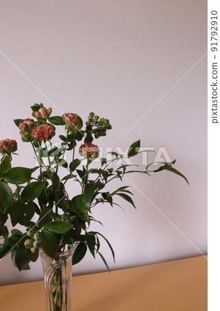 玫瑰和藍莓 91792910