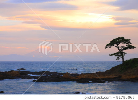 秋穀海岸/立石公園 秋穀海岸/立石公園 91793065