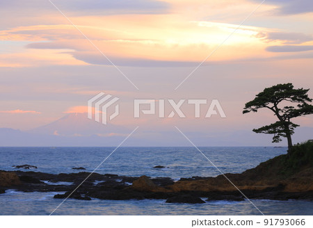 秋穀海岸/立石公園 秋穀海岸/立石公園 91793066