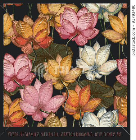 Seamless pattern illustration blooming lotus flowers. 91793490