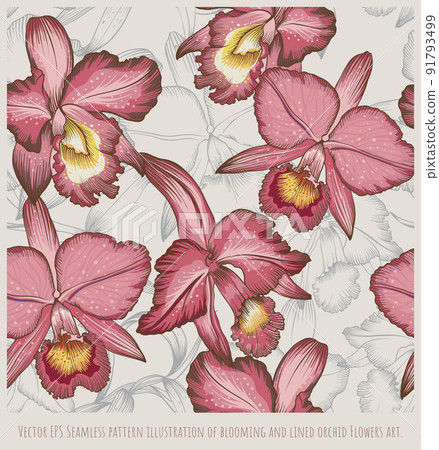 Seamless pattern blooming and lined orchid Flowers art Seamless pattern blooming and lined orchid Flowers art 91793499