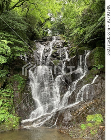 Shiraito Falls 91793986