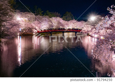 青森縣弘前市弘前公園夜景春陽橋夜櫻倒影弘前公園 91794250